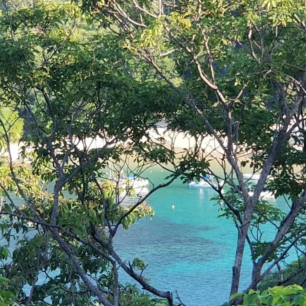 Meet your Posher, Judy